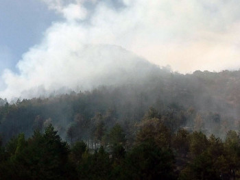 Lokalizovan požar u rejonu lastvanske Župe