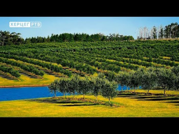 Agrarni fond: Radovi u voćnjaku nakon berbe (VIDEO)