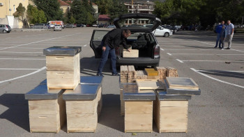 Veliki podstrek za pčelare početnike: Podijeljeno još 20 pčelarskih košnica