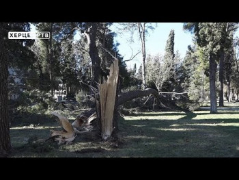 Trebinje: Olujni vjetar izazvao veliku štetu na području grada (VIDEO)
