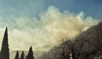 Hercegovački vatrogasci bez predaha: Buknulo oko 20 požara