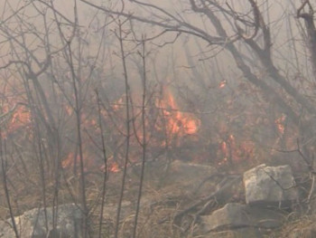 Пожар код Требиња се проширио, вјетар отежава гашење
