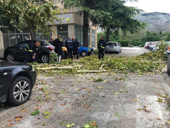 Nevrijeme u Mostaru 'pokosilo' drveće