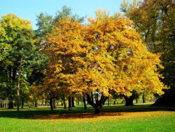 U utorak veoma toplo, temperatura do 27 stepeni