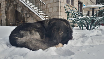 Snježna idila na Ublima (FOTO)