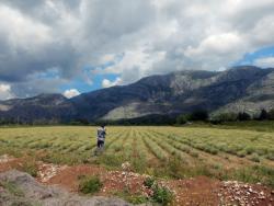 Trebinje: Poljoprivreda i turizam-vodeće oblasti za pokretanje biznisa