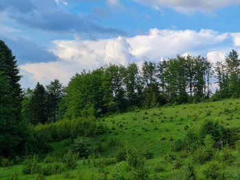 Prije podne toplo i sparno, poslije podne kiša i grmljavina