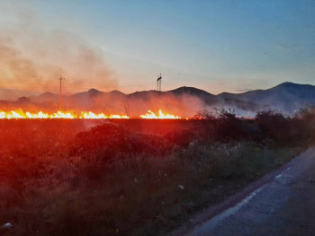 Trebinjski vatrogasci na visini zadatka: Ugašen veliki požar u Petrovom polju