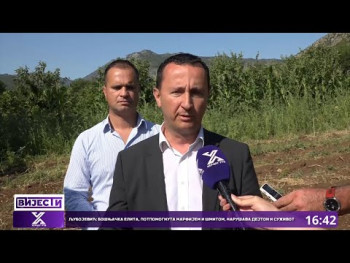 Gradonačelnik Ćurić u posjeti Veličanima;Popovopoljski kukuruz sačuvan u posljednji čas (Video)