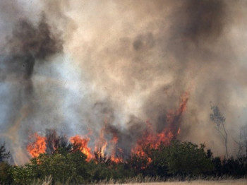 Gori šuma u Parku prirode Biokovo, vatra silazi prema Tučepima (FOTO)