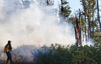 Vatra u Nacionalnom parku Sutjeska i dalje gori: Požar zahvatio i borovu šumu