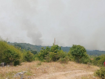 Požarna linija u Bileći duga 20 kilometara, vjetar otežava gašenje