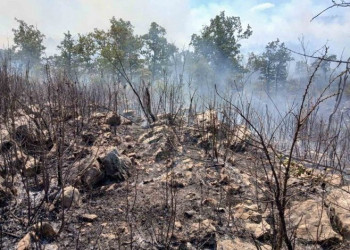 Bileća: Vatra se ponovo rasplamsala i prijeti kućama; Tri vatrogasca povrijeđena (VIDEO)