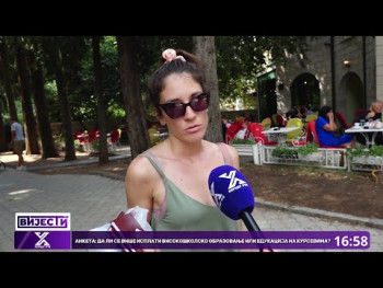 Anketa: Da li se više isplati visokoškolsko obrazovanje ili edukacija na kursevima?(Video)