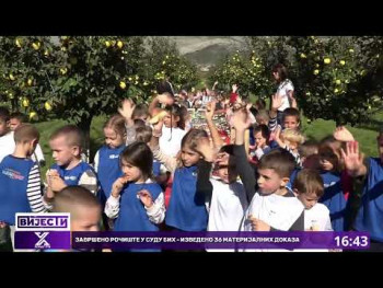 Trebinjac ozvaničio berbu dunje, sa oko 100 mališana iz trebinjskog vrtića ,,Naša radost,,(Video)