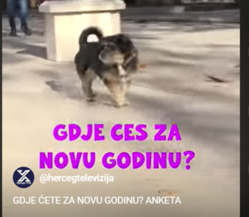 Gdje ćete za Novu godinu - anketa